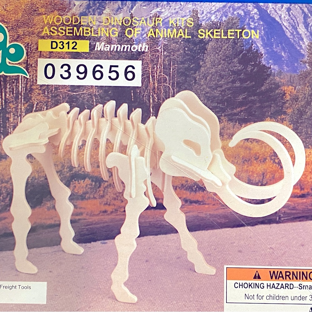 These are Dinosaur puzzles that help build the IQ.
